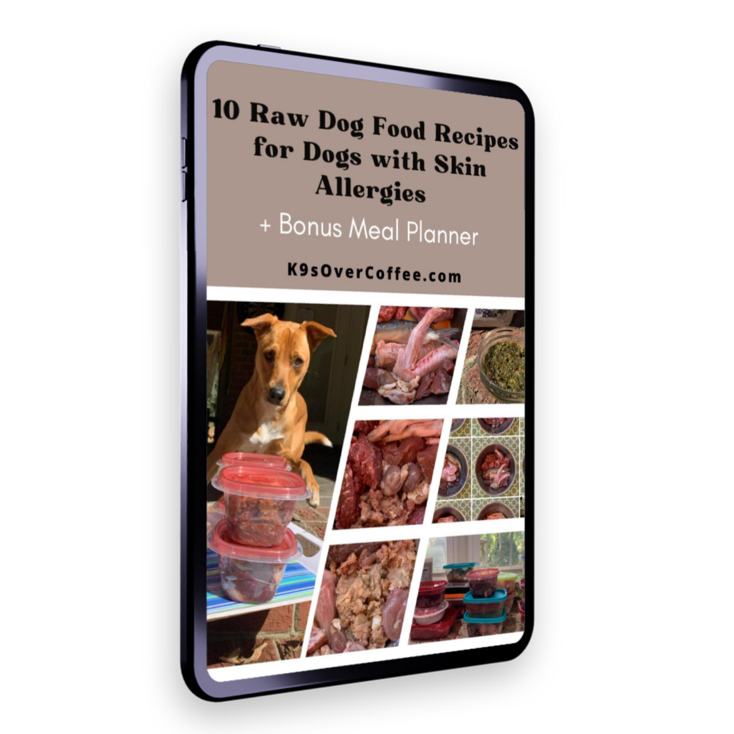 The ebook 10 raw dog food recipes for dogs with skin allergies is part of the discounted raw dog food ebook bundle
