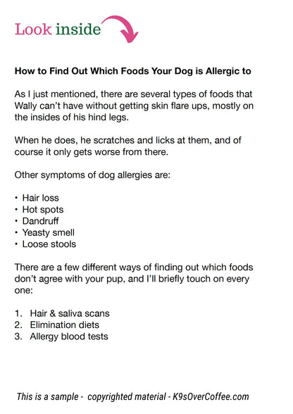 10 Raw Dog Food Recipes for Dogs (especially with Skin Allergies)