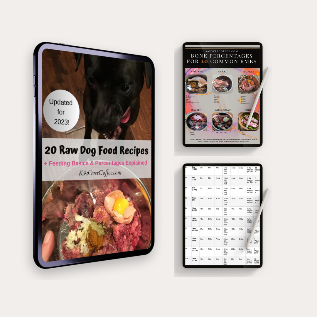 Ebook featuring 20 raw dog food recipes to DIY at home