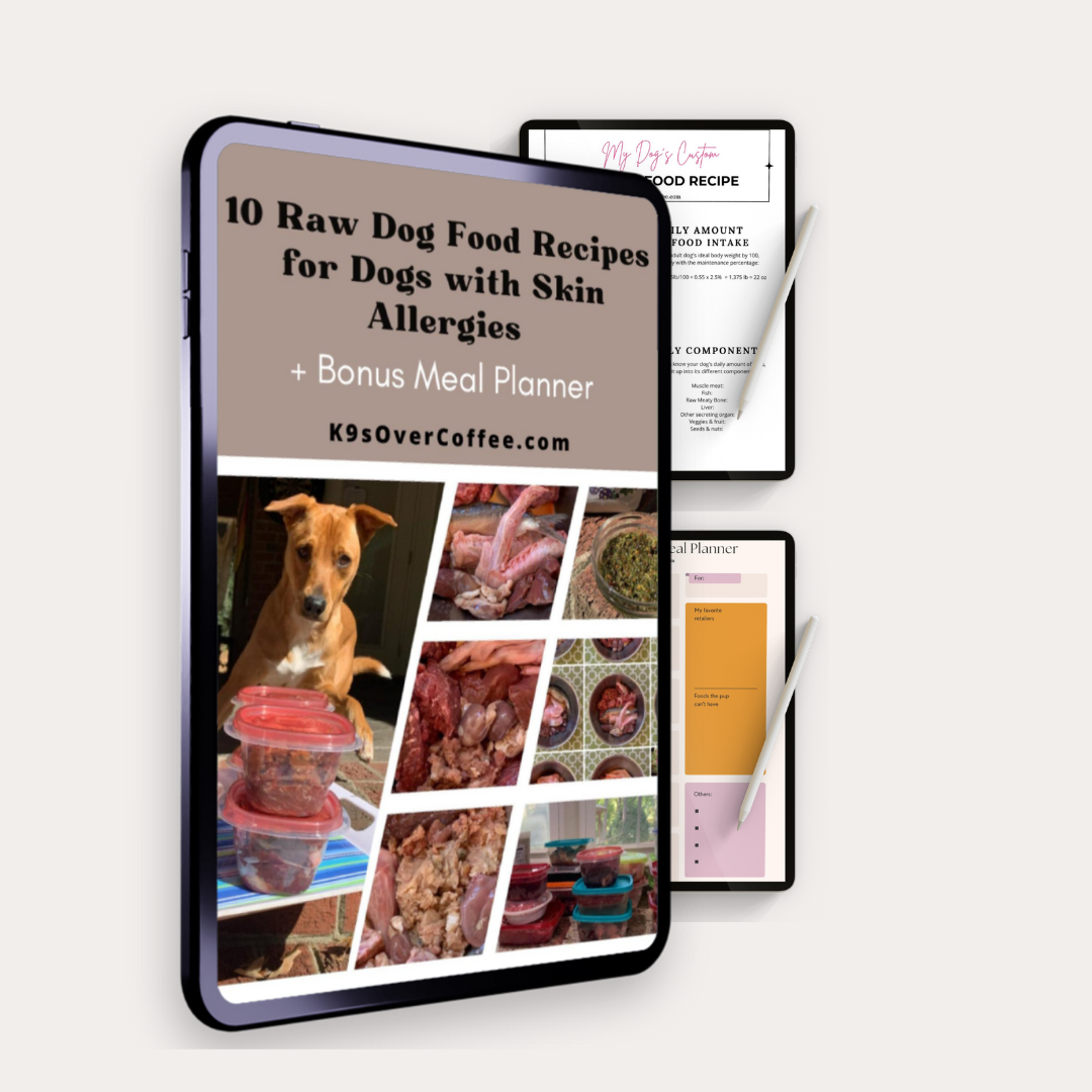 Ebook featuring 10 raw dog food recipes for dogs with skin allergies