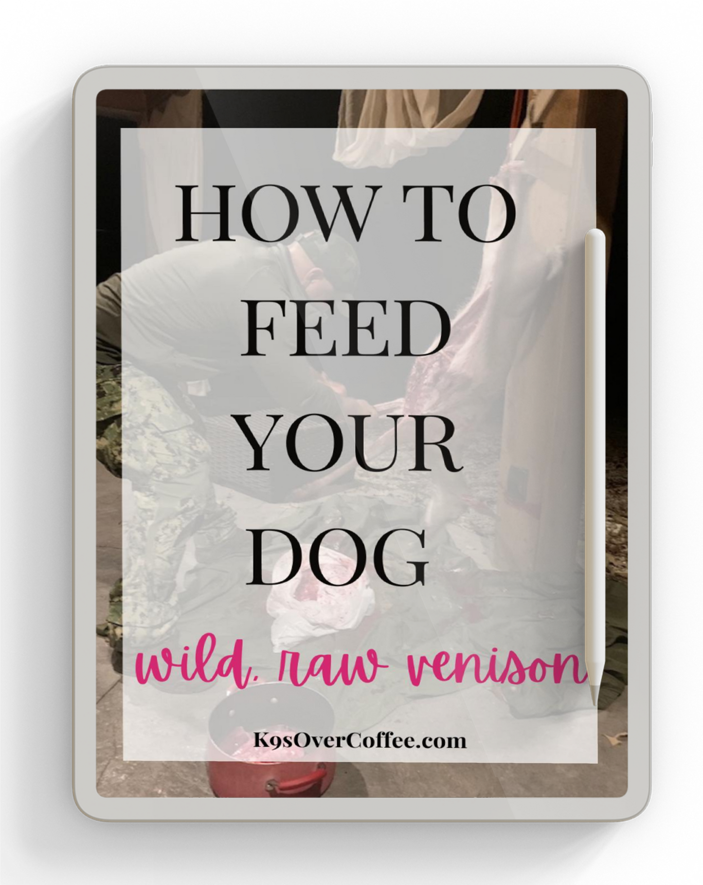 Ebook about how to feed your dog wild raw venison in homemade raw dog food
