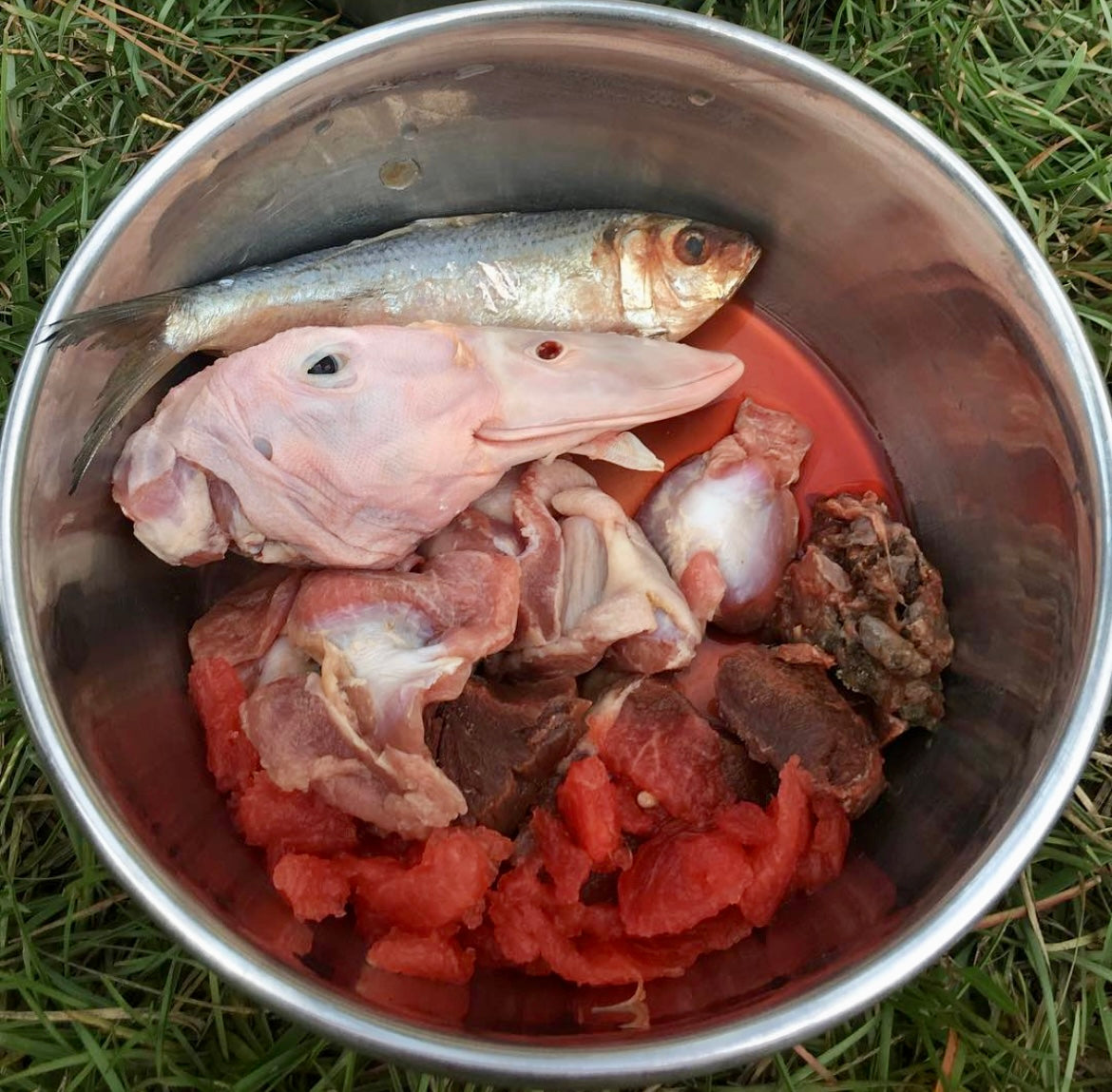 DIY raw dog food with duck and fish