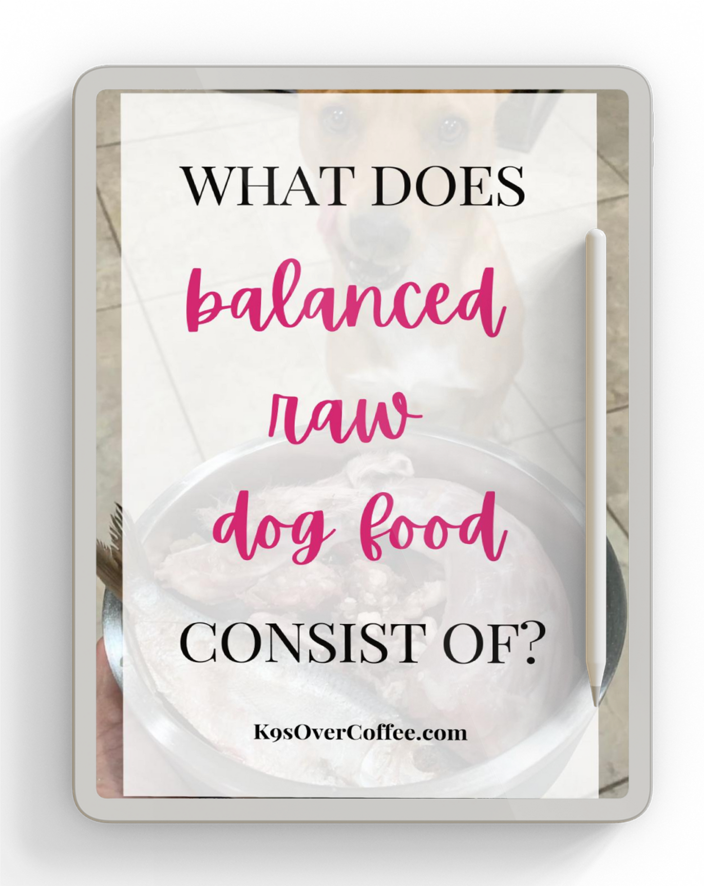 Ebook about the different raw dog food ingredients in balanced homemade raw dog food